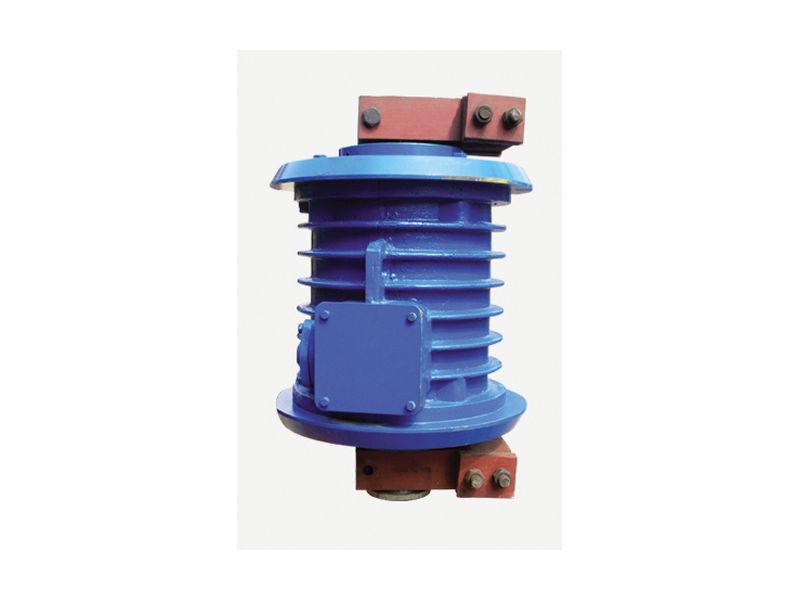 立式振動(dòng)電機(jī)